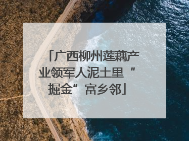 广西柳州莲藕产业领军人泥土里“掘金”富乡邻