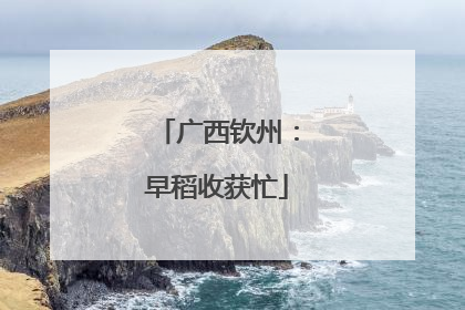 广西钦州：早稻收获忙