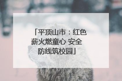 平顶山市：红色薪火燃童心 安全防线筑校园