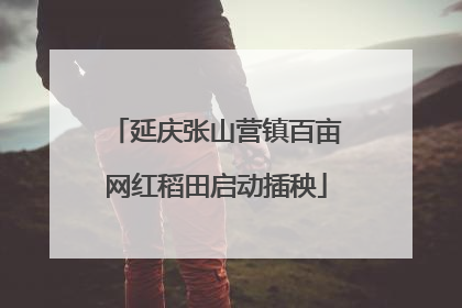 延庆张山营镇百亩网红稻田启动插秧