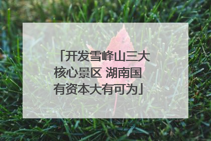 开发雪峰山三大核心景区 湖南国有资本大有可为
