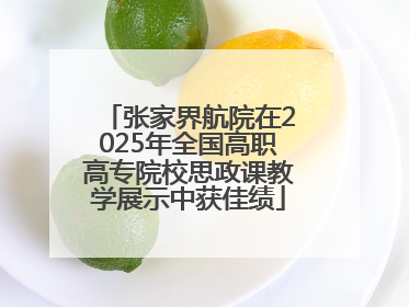 张家界航院在2025年全国高职高专院校思政课教学展示中获佳绩
