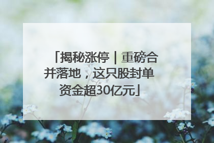 揭秘涨停｜重磅合并落地，这只股封单资金超30亿元