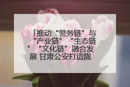 推动“警务链”与“产业链”“生态链”“文化链”融合发展 甘肃公安打造陇原旅游警务品牌