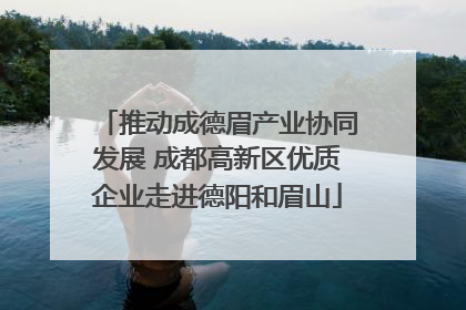 推动成德眉产业协同发展 成都高新区优质企业走进德阳和眉山