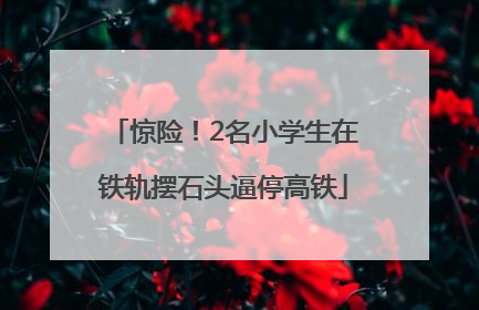 惊险！2名小学生在铁轨摆石头逼停高铁