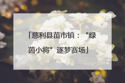 慈利县苗市镇：“绿茵小将”逐梦赛场