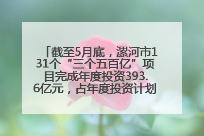 截至5月底，漯河市131个“三个五百亿”项目完成年度投资393.6亿元，占年度投资计划的50.41%——“三个五百亿”项目带动产业提质升级