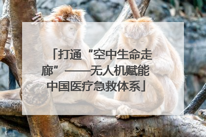 打通“空中生命走廊”——无人机赋能中国医疗急救体系