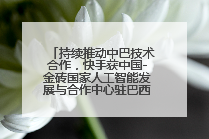 持续推动中巴技术合作，快手获中国-金砖国家人工智能发展与合作中心驻巴西成果转化中心授牌