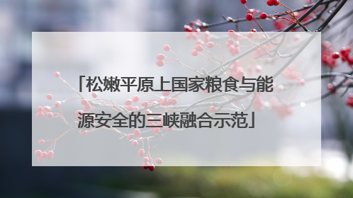 松嫩平原上国家粮食与能源安全的三峡融合示范