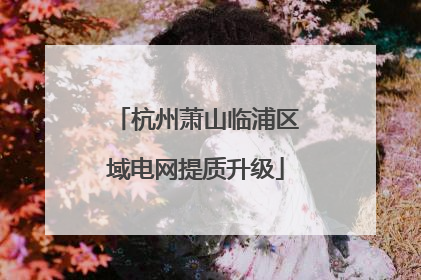 杭州萧山临浦区域电网提质升级