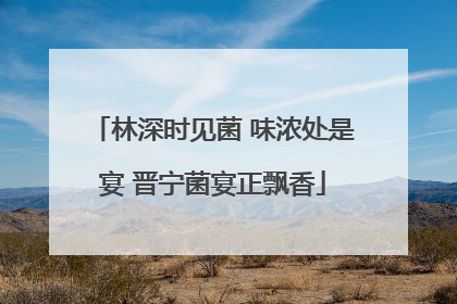 林深时见菌 味浓处是宴 晋宁菌宴正飘香