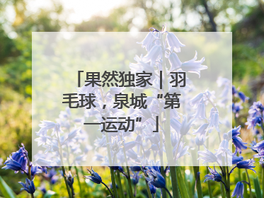 果然独家｜羽毛球，泉城“第一运动”