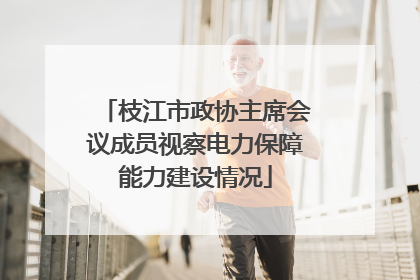 枝江市政协主席会议成员视察电力保障能力建设情况