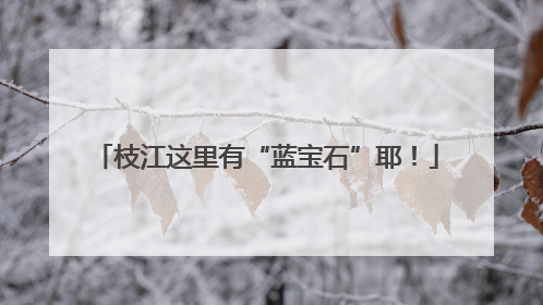 枝江这里有“蓝宝石”耶！