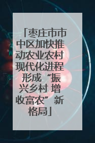枣庄市市中区加快推动农业农村现代化进程 形成“振兴乡村 增收富农”新格局