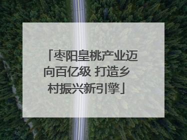 枣阳皇桃产业迈向百亿级 打造乡村振兴新引擎