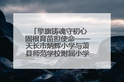 擎旗铸魂守初心 固根育苗担使命——天长市炳辉小学与萧县师范学校附属小学结对共建活动纪实