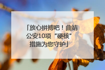 放心拼搏吧！曲靖公安10项“硬核”措施为您守护