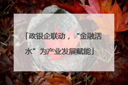 政银企联动，“金融活水”为产业发展赋能