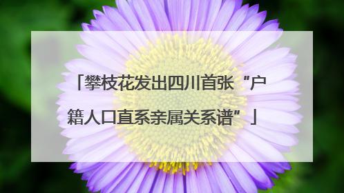 攀枝花发出四川首张“户籍人口直系亲属关系谱”