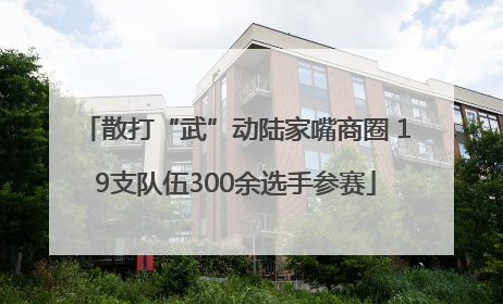 散打“武”动陆家嘴商圈 19支队伍300余选手参赛
