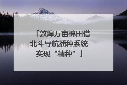 敦煌万亩棉田借北斗导航播种系统实现“精种”