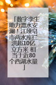 数字孪生助力澧水安澜！江垭皂市两水库拦洪超10亿立方米 相当于近80个西湖水量