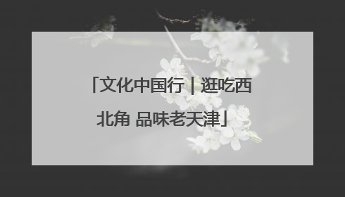 文化中国行｜逛吃西北角 品味老天津