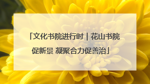 文化书院进行时｜花山书院促新景 凝聚合力促善治
