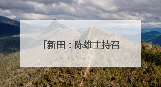 新田：陈雄主持召开2025年第15次县委常委会会议
