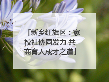 新乡红旗区：家校社协同发力 共商育人成才之道