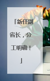新任副省长，分工明确！