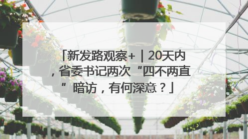 新发路观察+｜20天内，省委书记两次“四不两直”暗访，有何深意？