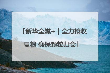 新华全媒+｜全力抢收夏粮 确保颗粒归仓