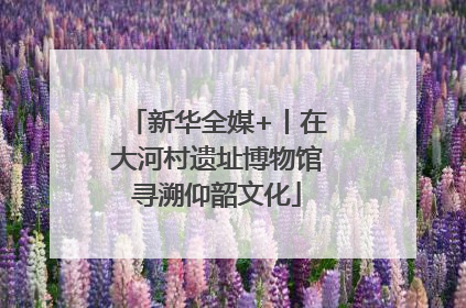 新华全媒+丨在大河村遗址博物馆寻溯仰韶文化