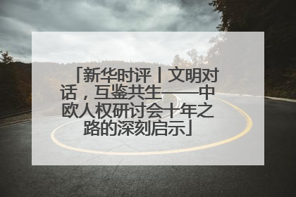 新华时评丨文明对话，互鉴共生——中欧人权研讨会十年之路的深刻启示