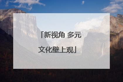新视角 多元文化壁上观