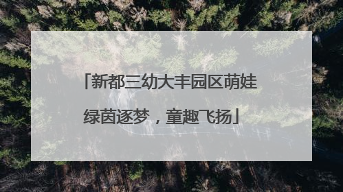 新都三幼大丰园区萌娃绿茵逐梦，童趣飞扬