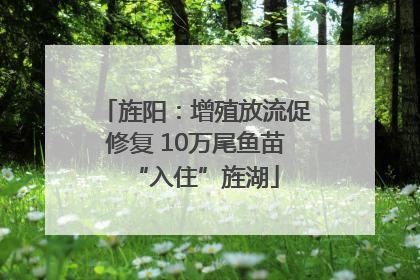 旌阳：增殖放流促修复 10万尾鱼苗“入住”旌湖