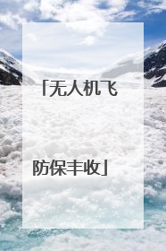 无人机飞防保丰收