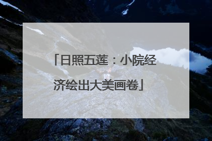 日照五莲：小院经济绘出大美画卷
