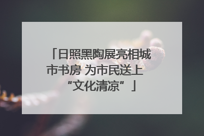日照黑陶展亮相城市书房 为市民送上“文化清凉”