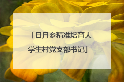 日月乡精准培育大学生村党支部书记