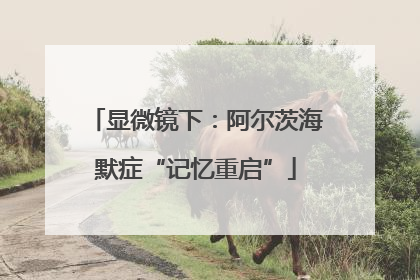 显微镜下：阿尔茨海默症“记忆重启”