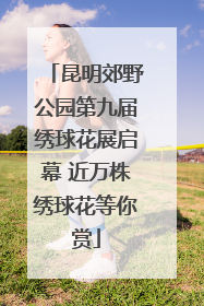昆明郊野公园第九届绣球花展启幕 近万株绣球花等你赏