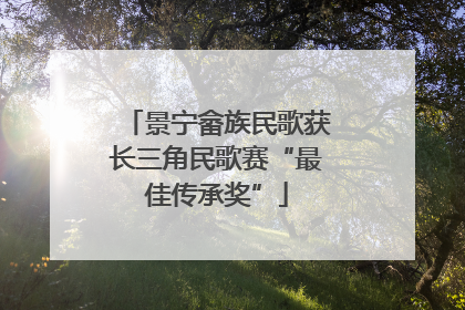 景宁畲族民歌获长三角民歌赛“最佳传承奖”