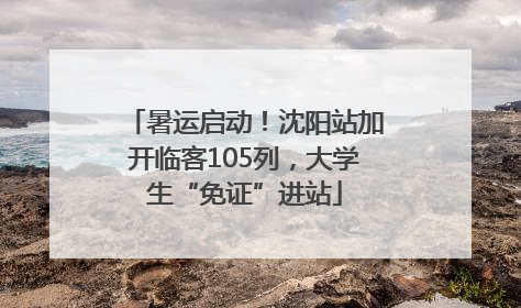 暑运启动！沈阳站加开临客105列，大学生“免证”进站