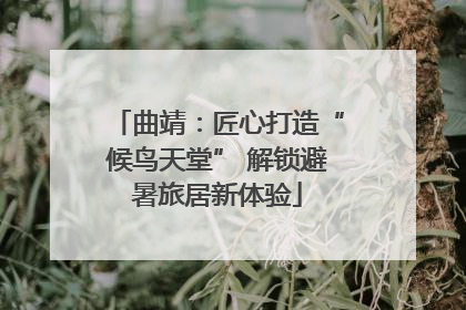 曲靖：匠心打造“候鸟天堂” 解锁避暑旅居新体验